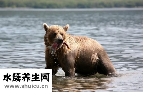 體香在幾歲形成