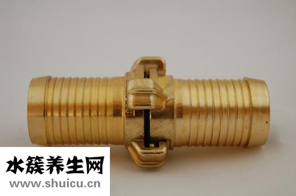 小根蒜的功效與作用