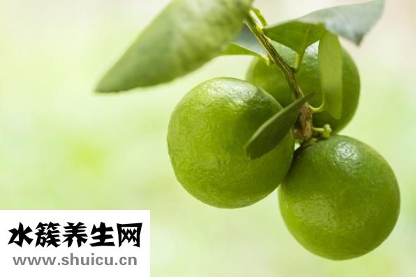 乙酸乙酯化學式