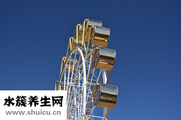 大腸和小腸的區別