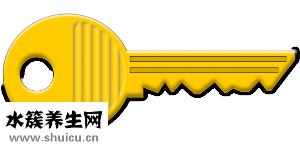 怎么保養(yǎng)腎