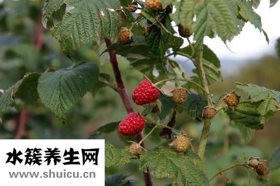 怎么讓例假快點來