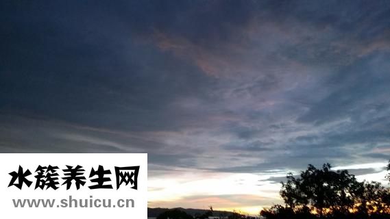 打點滴氨基酸的作用