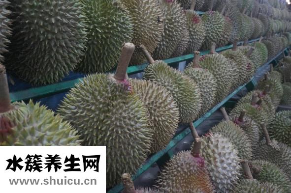 孕婦吃榴蓮好嗎