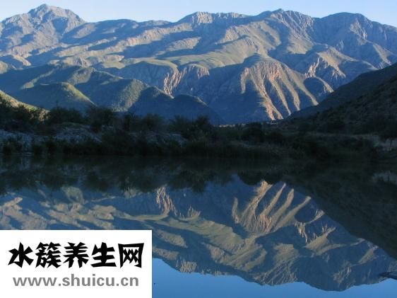 頭孢屬于抗生素嗎