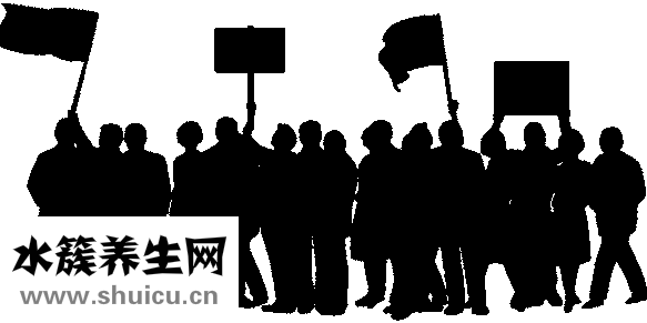 什么人吃海參好