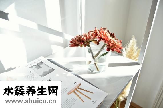 頭孢屬于抗生素嗎