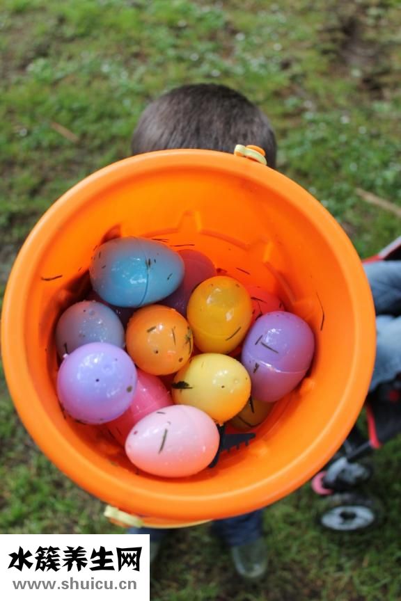 一個(gè)雞蛋的熱量