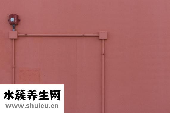 切胃手術需要多少錢