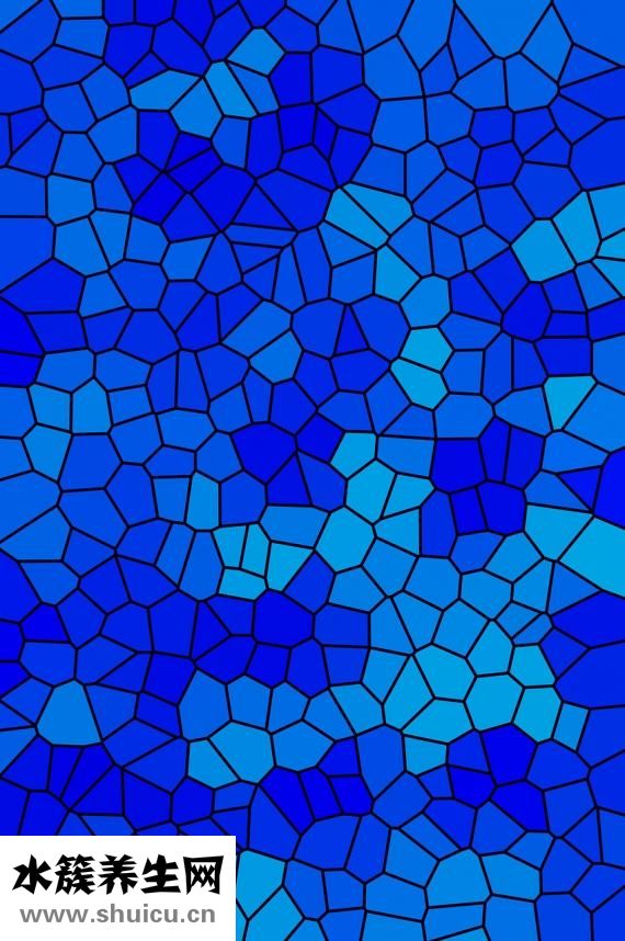 乙肝兩對半檢查