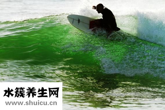 壓腿的正確方法