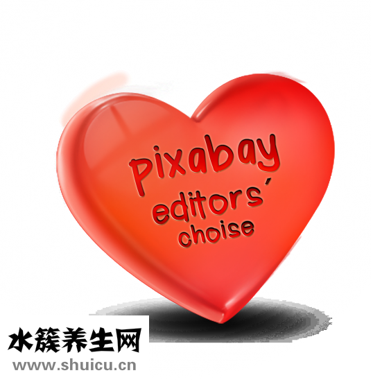 心臟驟停的前兆