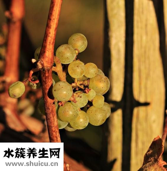 右肺上葉鈣化灶