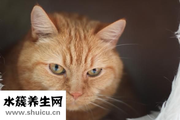 孕婦怎么控制體重