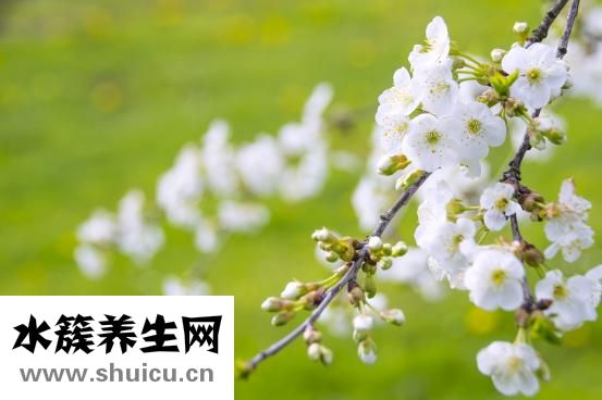 孕婦如何控制體重