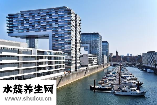 他克莫司說明書