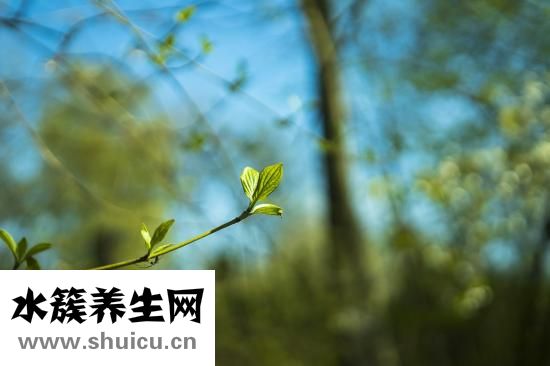 孕婦白蛋白偏低