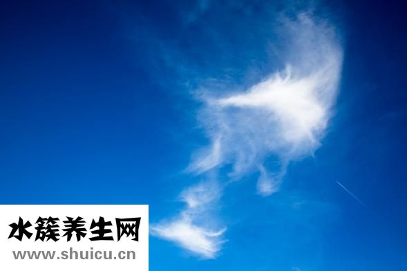 準(zhǔn)分子近視手術(shù)