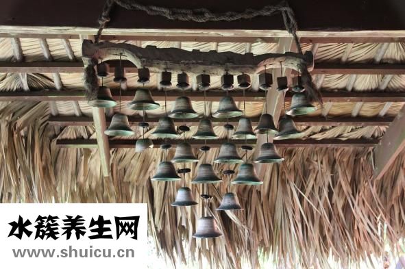 孕婦可以吃甘蔗嗎