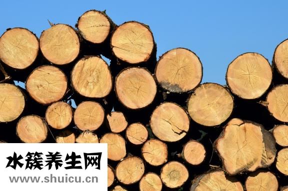 雙黃連的功效與作用