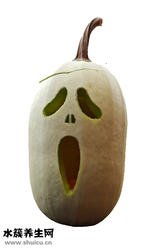 孕婦能吃白蒿嗎