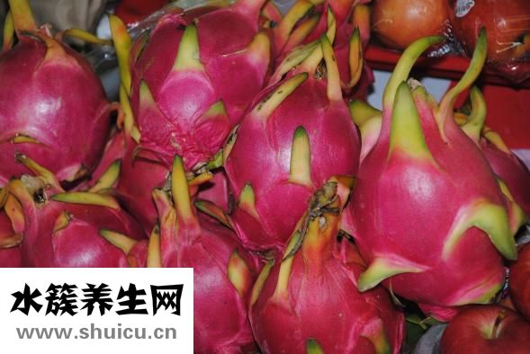 小兒化食口服液