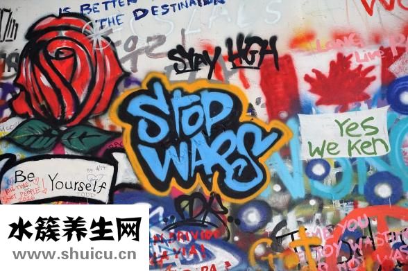 四季豆要煮多久才熟