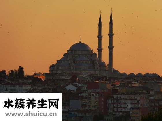 四季豆要煮多久才熟