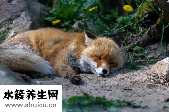 傷口發炎怎么辦