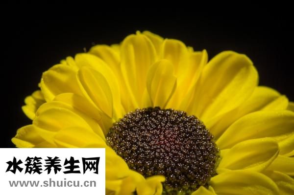 手術(shù)后吃什么好