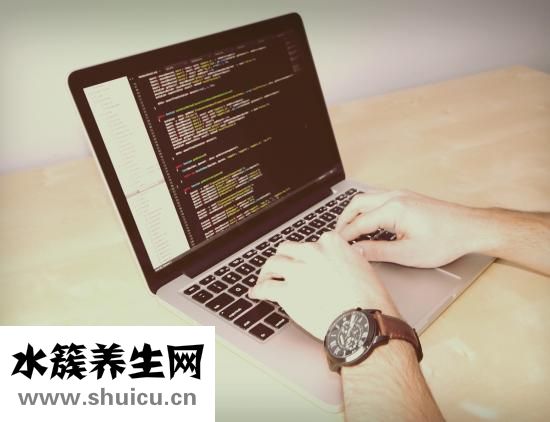 烏棗和黑棗的區(qū)別