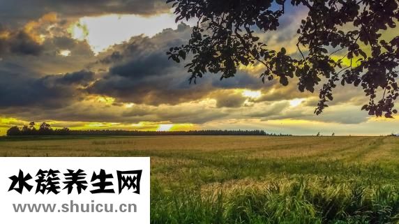 小蘇打的作用與功效