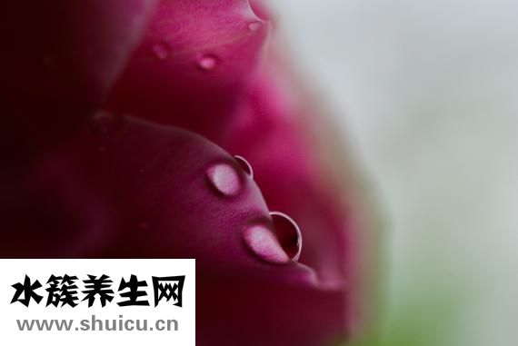 嗜酸細(xì)胞絕對(duì)值