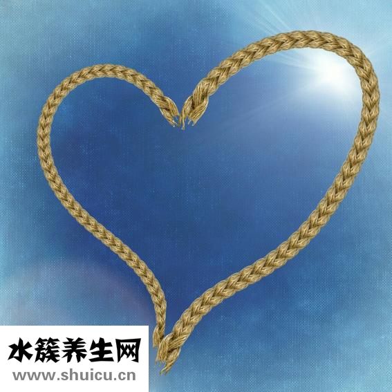 八大系統(tǒng)有哪些