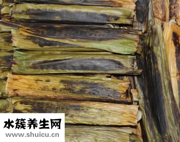 孕婦能吃木薯嗎