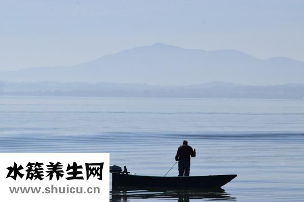 孕婦吃西梅好不好