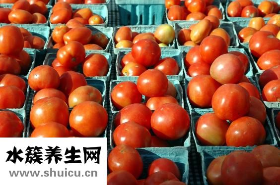 孕婦可以吃西紅柿嗎