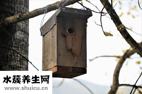 壽司隔夜可以吃嗎