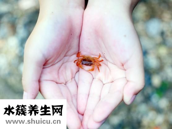 暈車頭疼怎么緩解