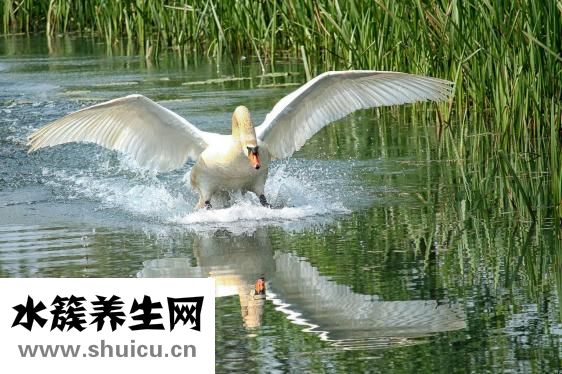 怎么看自己的臉型