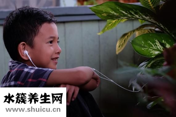 手機(jī)對人的危害