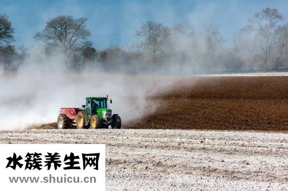 想放屁放不出來