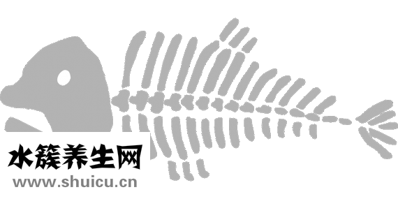 外向孤獨癥測試