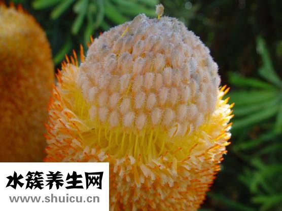 吃什么能改善睡眠