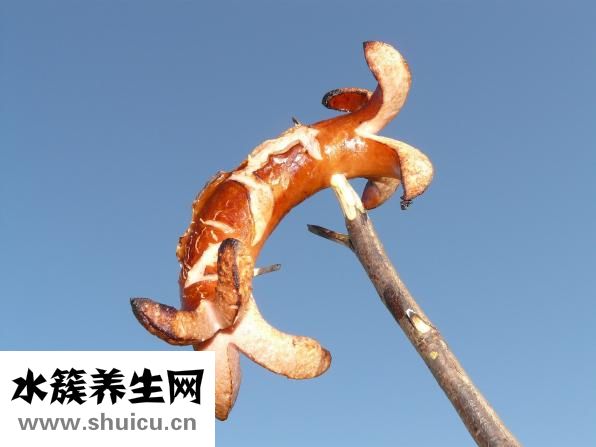 五分鐘解決便秘