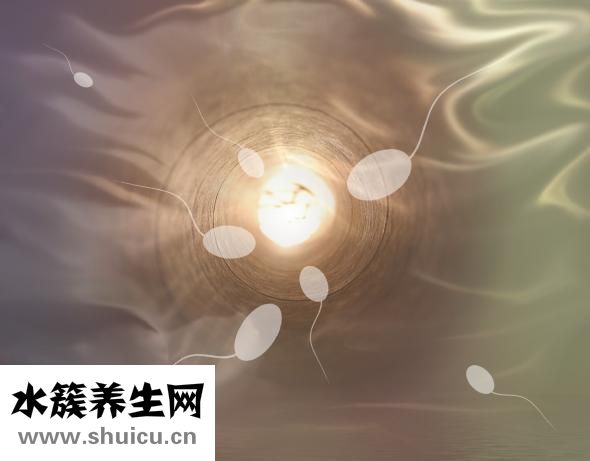 優泌樂賴脯胰島素