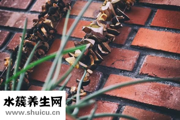 烏發黑發的方法