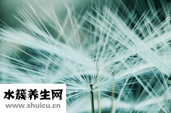 幽門螺旋桿菌試紙