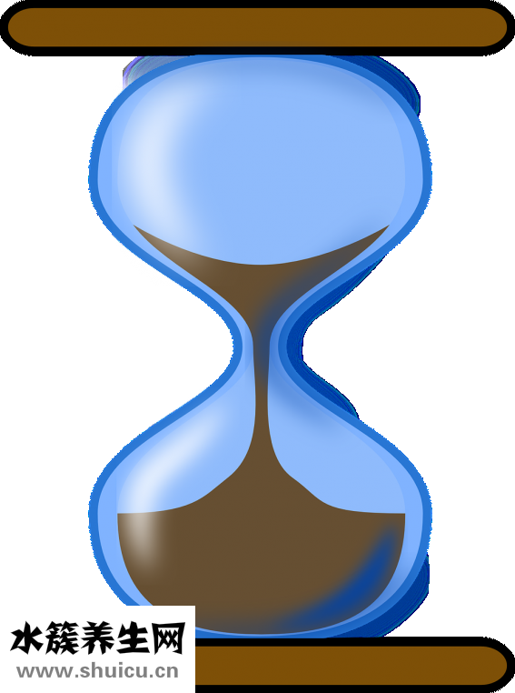 小芋頭蒸多久能熟