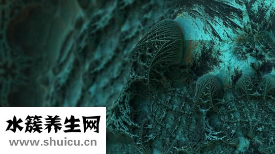 山藥粉的功效與作用